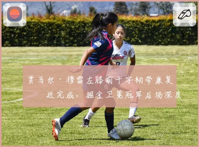 贾马尔·穆雷左膝前十字韧带康复接近完成，掘金卫冕冠军后场深度如何？