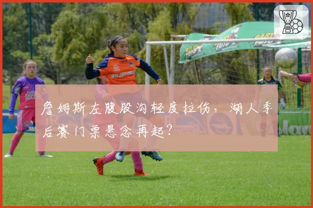 詹姆斯左腹股沟轻度拉伤，湖人季后赛门票悬念再起？