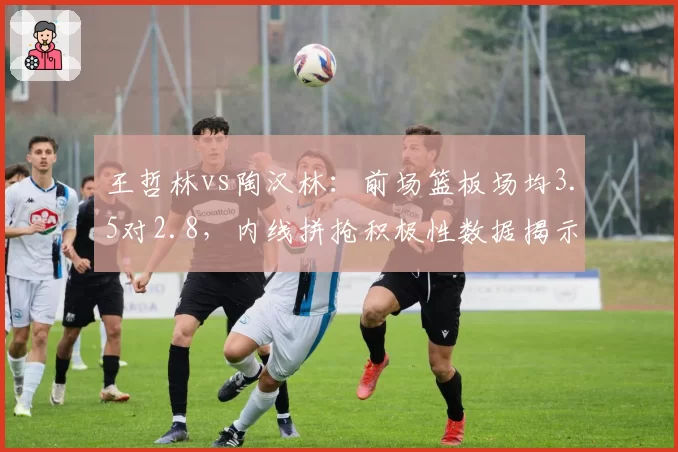王哲林vs陶汉林：前场篮板场均3.5对2.8，内线拼抢积极性数据揭示差距